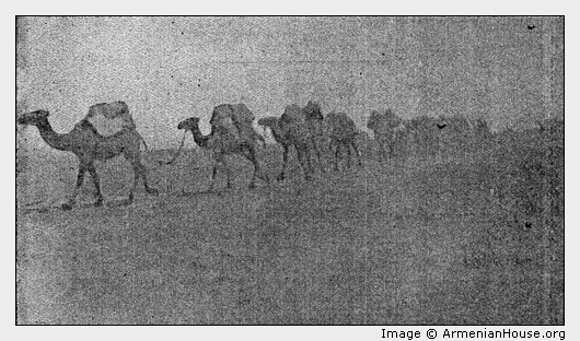 SECTION OF RED CROSS CARAVAN.