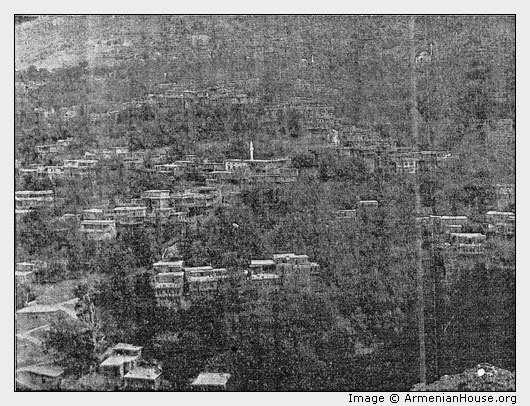 EGIN, THE HILLSIDE COVERED WITH MULBERRY TREES.