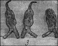 Гусаны из Сарыкамыша