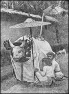 Изображение быка