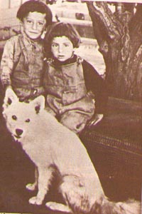 ������ ������ (������) � ������ �������. San Jose, 1911