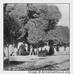 Erivan. In the Courtyard of the Mosque called Gök Djami.